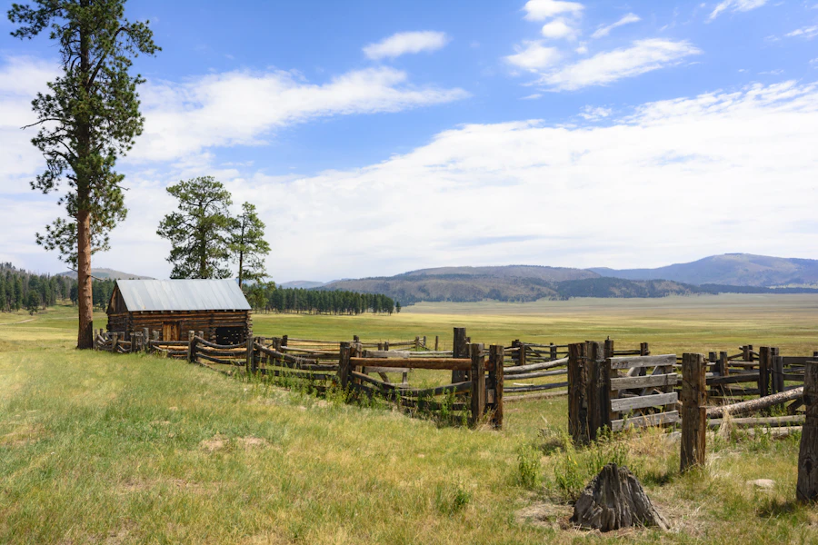 Wooden fence across a grass field