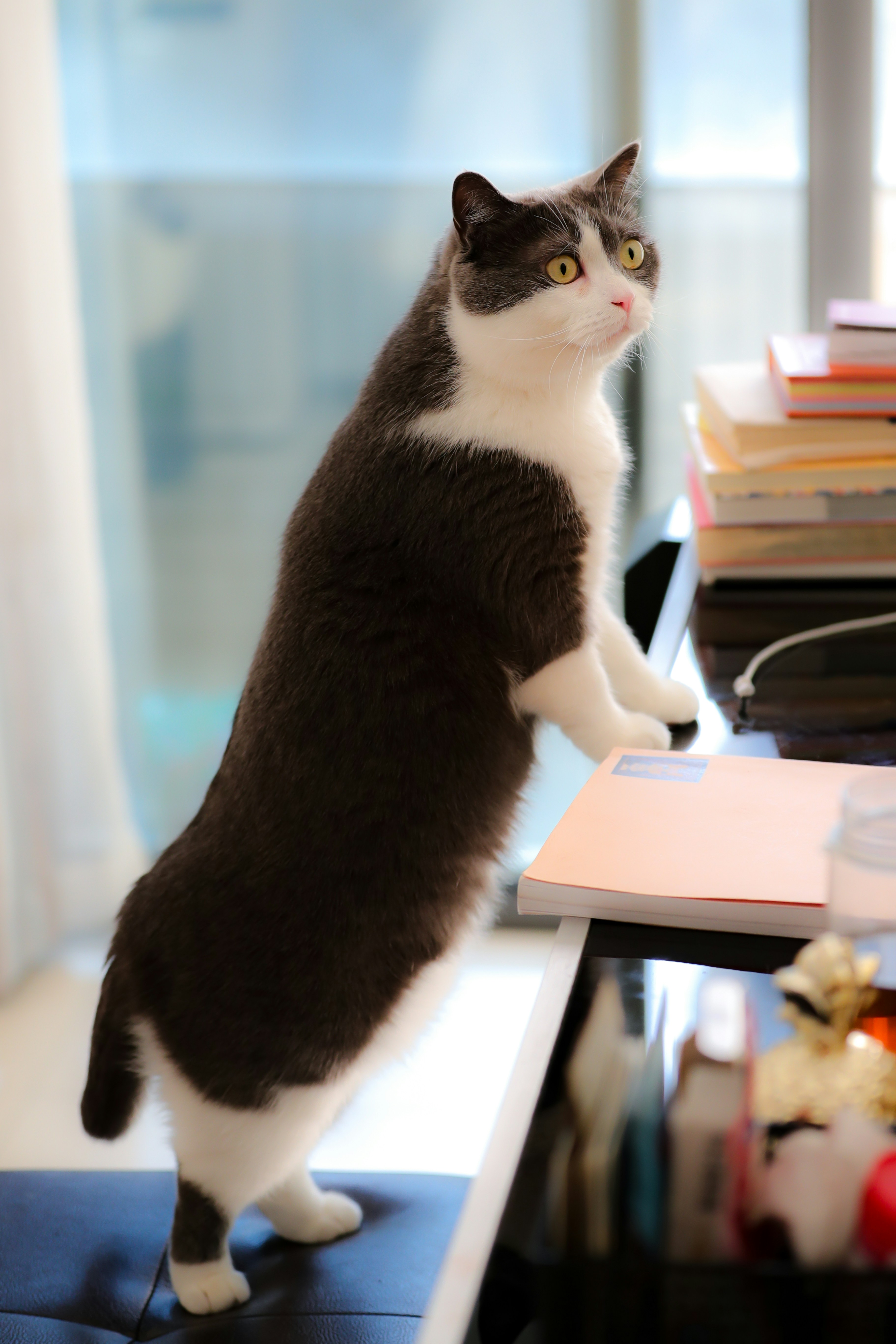 Protective Posture (image credits: unsplash)