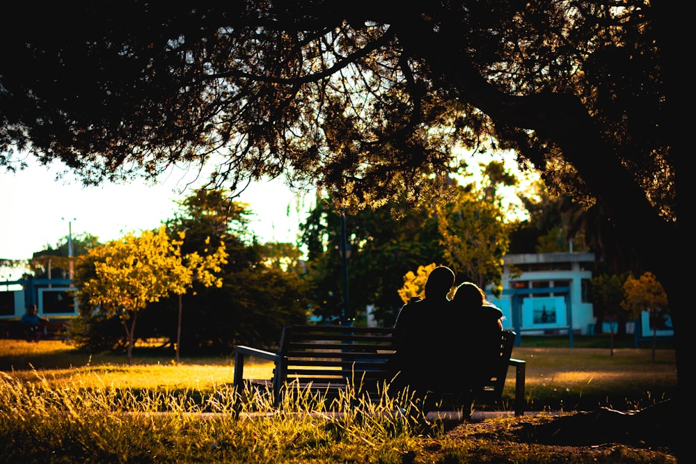 man and woman sitting on bench under tree