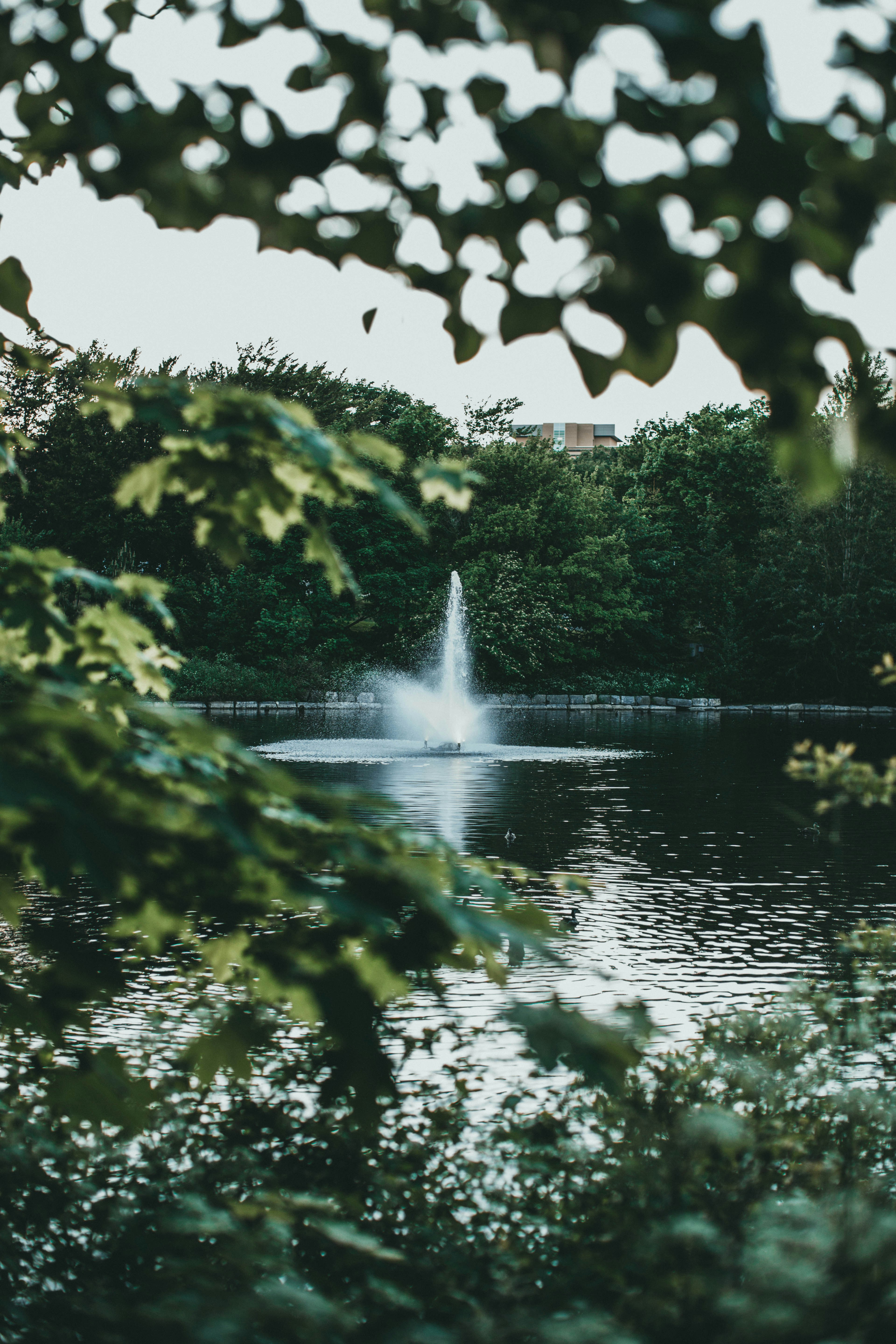 Photo by theshuttervision