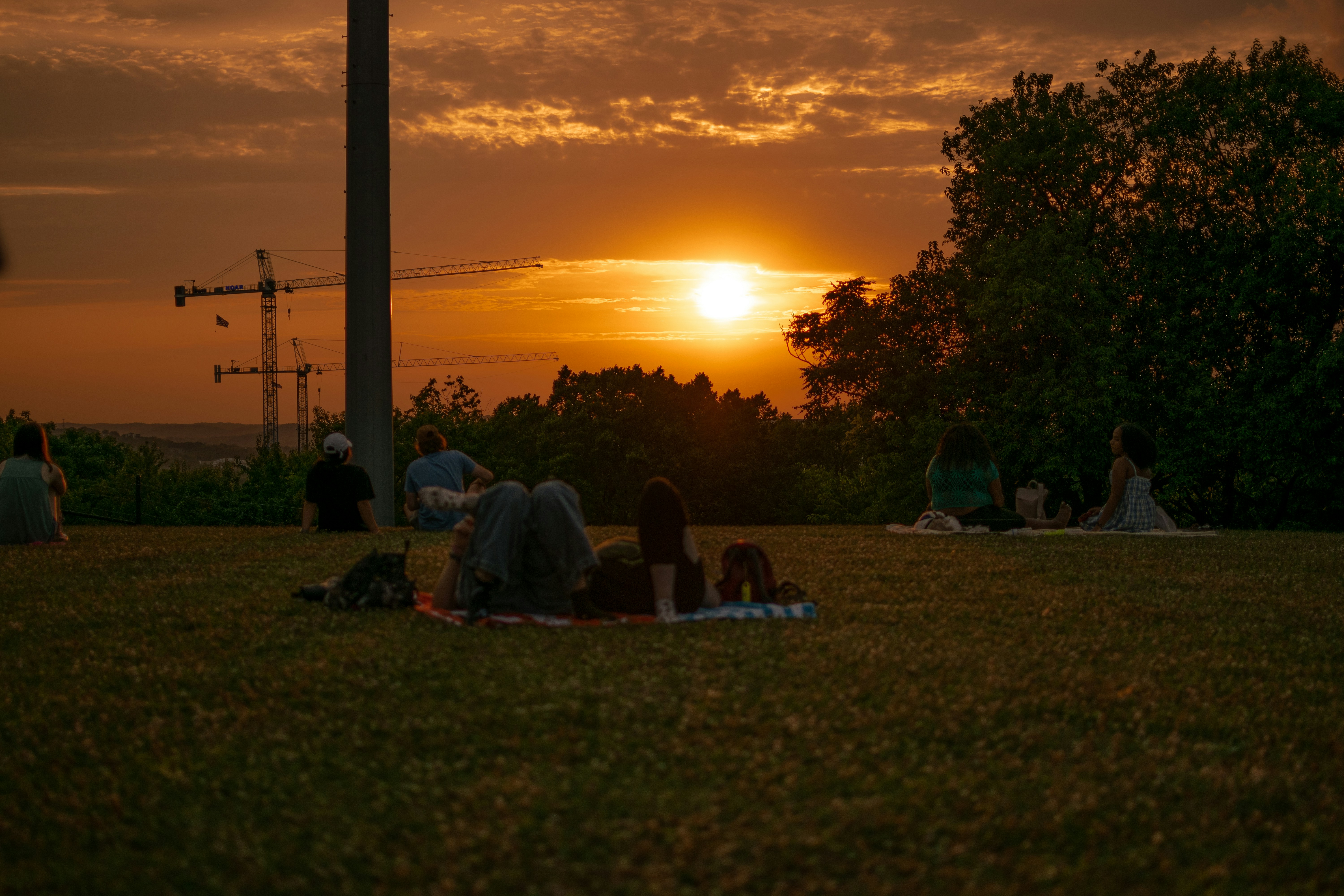 people sitting on grass field during sunset