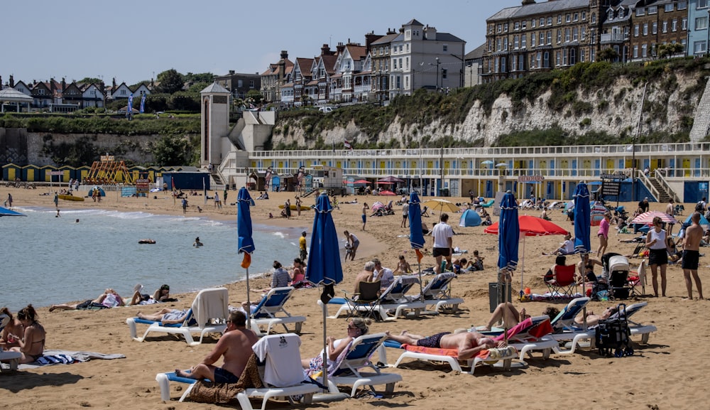 people on beach during daytime