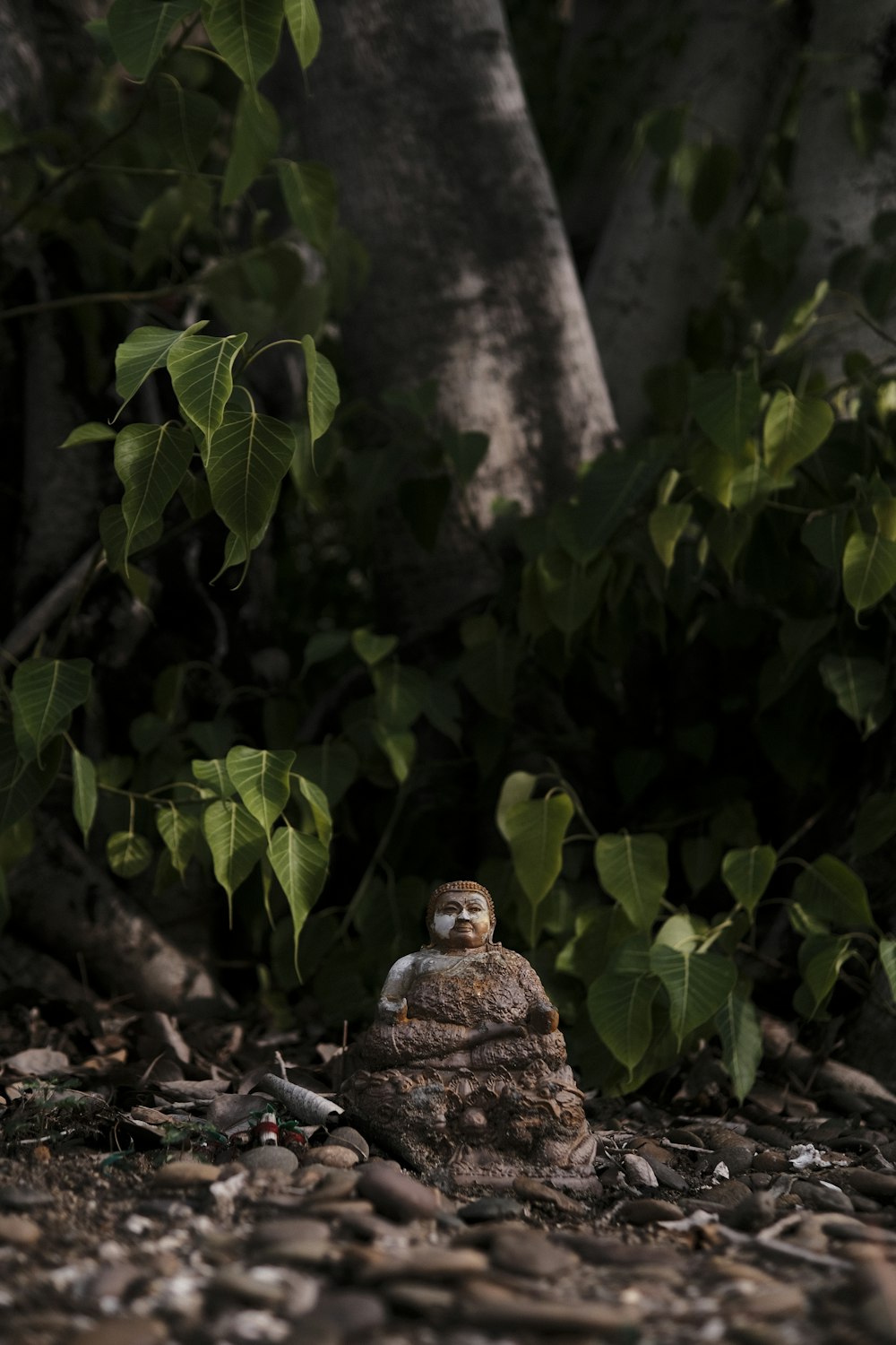 brown and black owl on gray rock