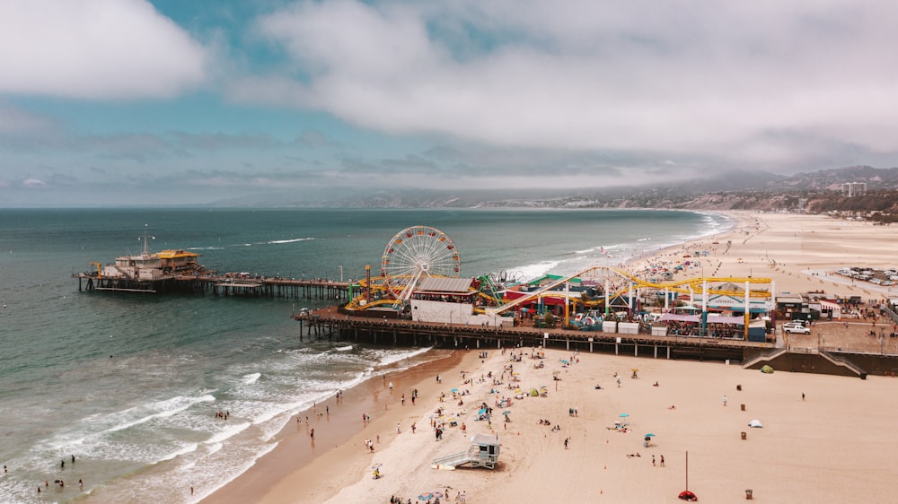 people on beach during daytime