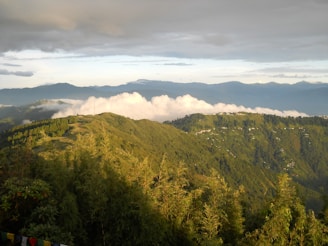 green trees on mountain under white clouds during daytime