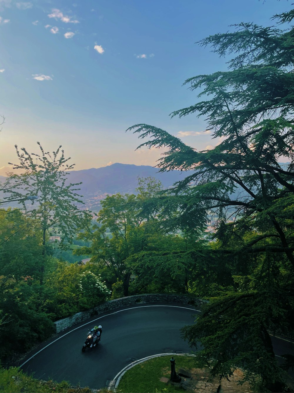 green trees and plants near body of water during daytime