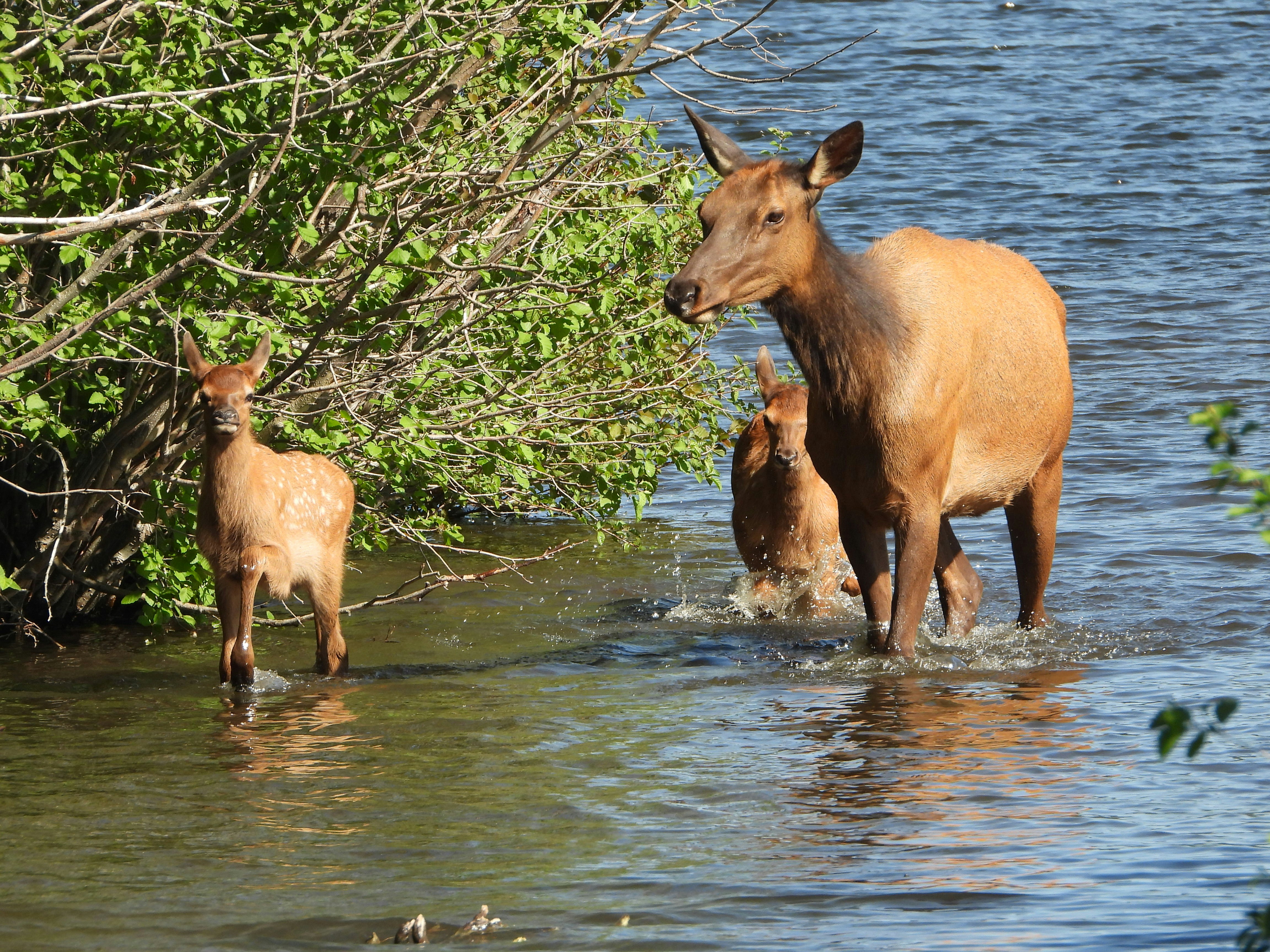 Photo by evergreene24