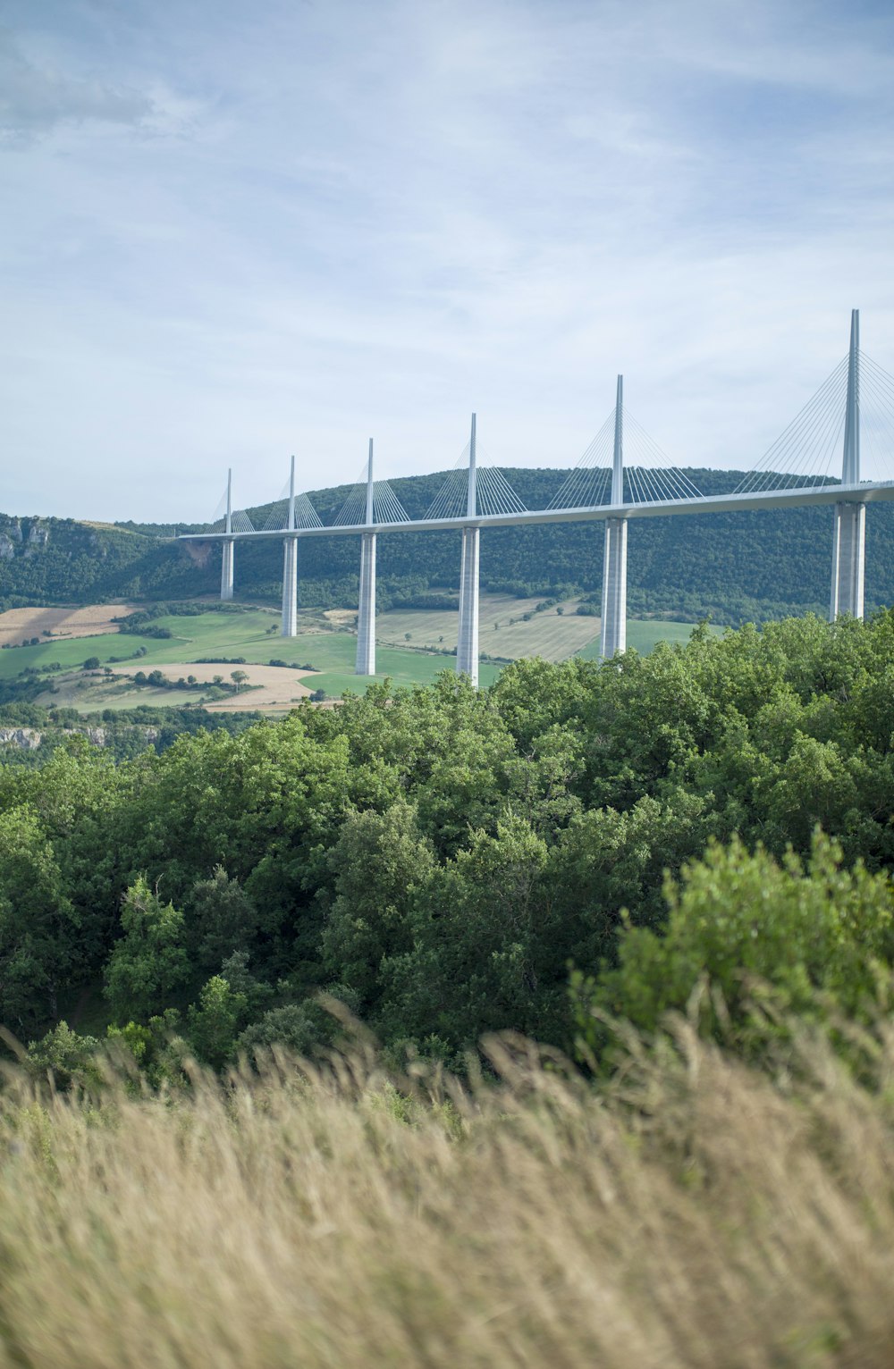 white bridge over the river