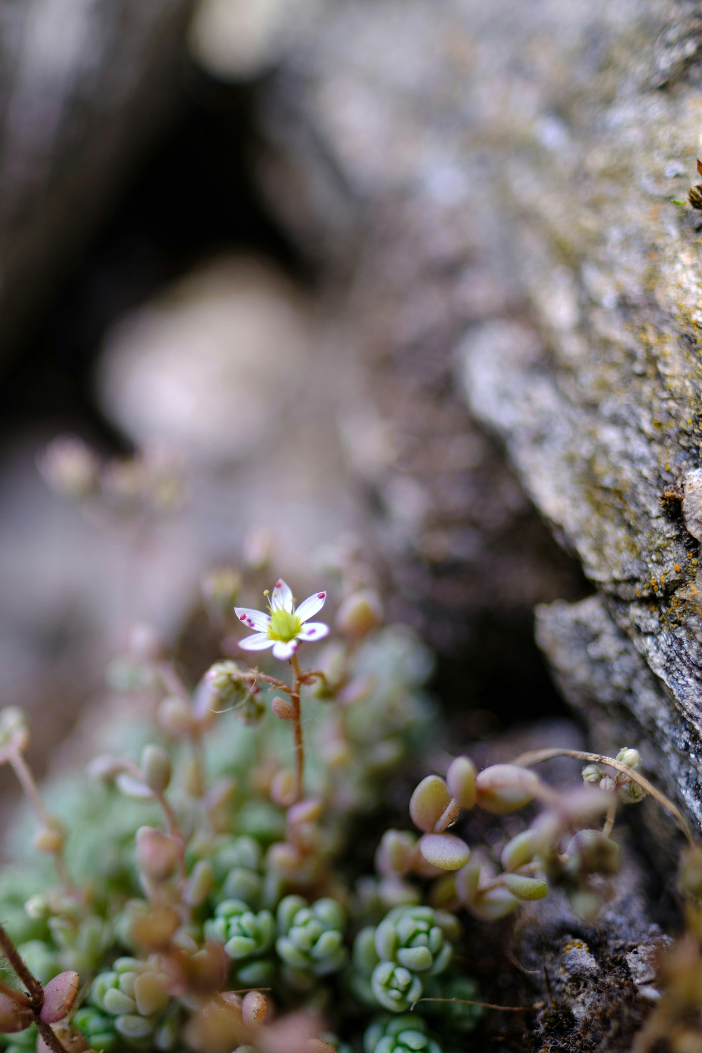 Photo by marcus_ganahl