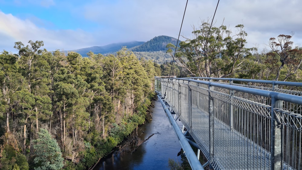 gray metal bridge over river