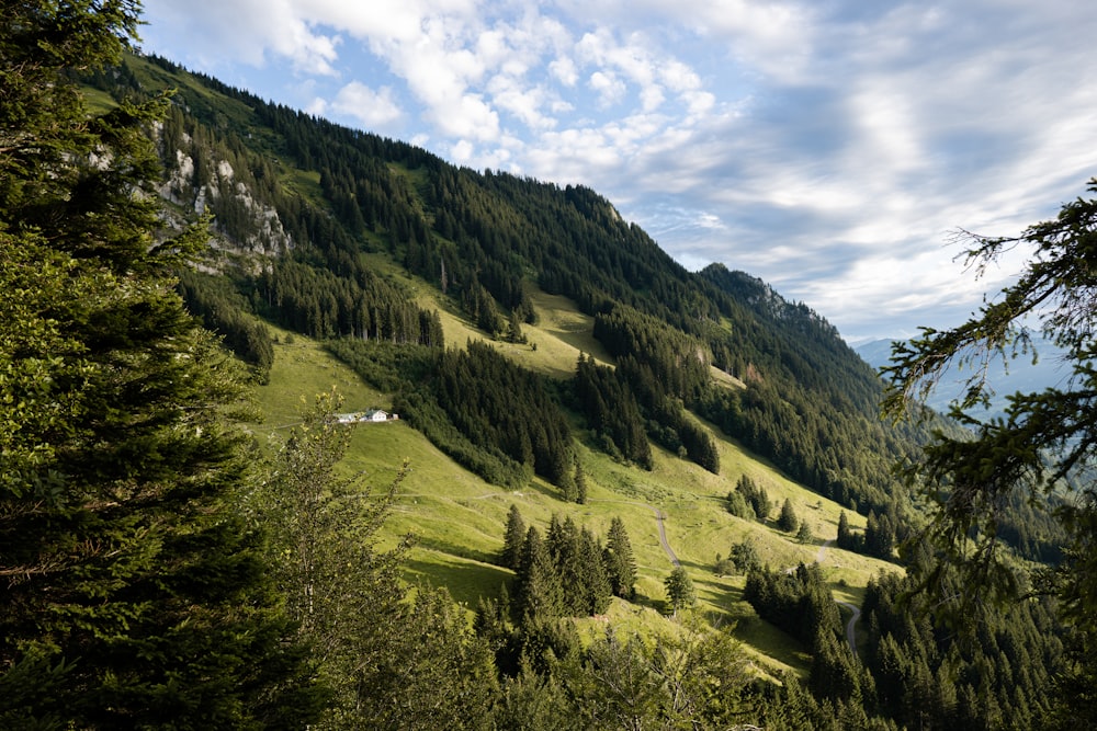 green trees on mountain under cloudy sky during daytime