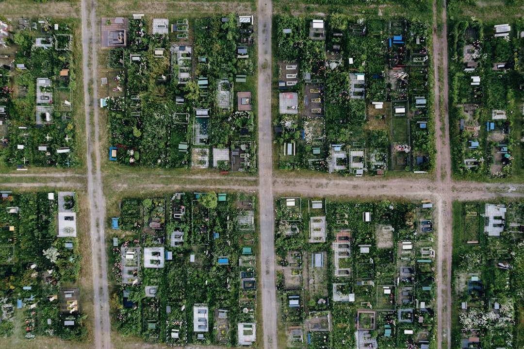 aerial view of city buildings during daytime