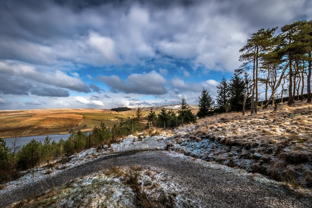 alberi verdi su campo marrone sotto nuvole bianche e cielo blu durante il giorno