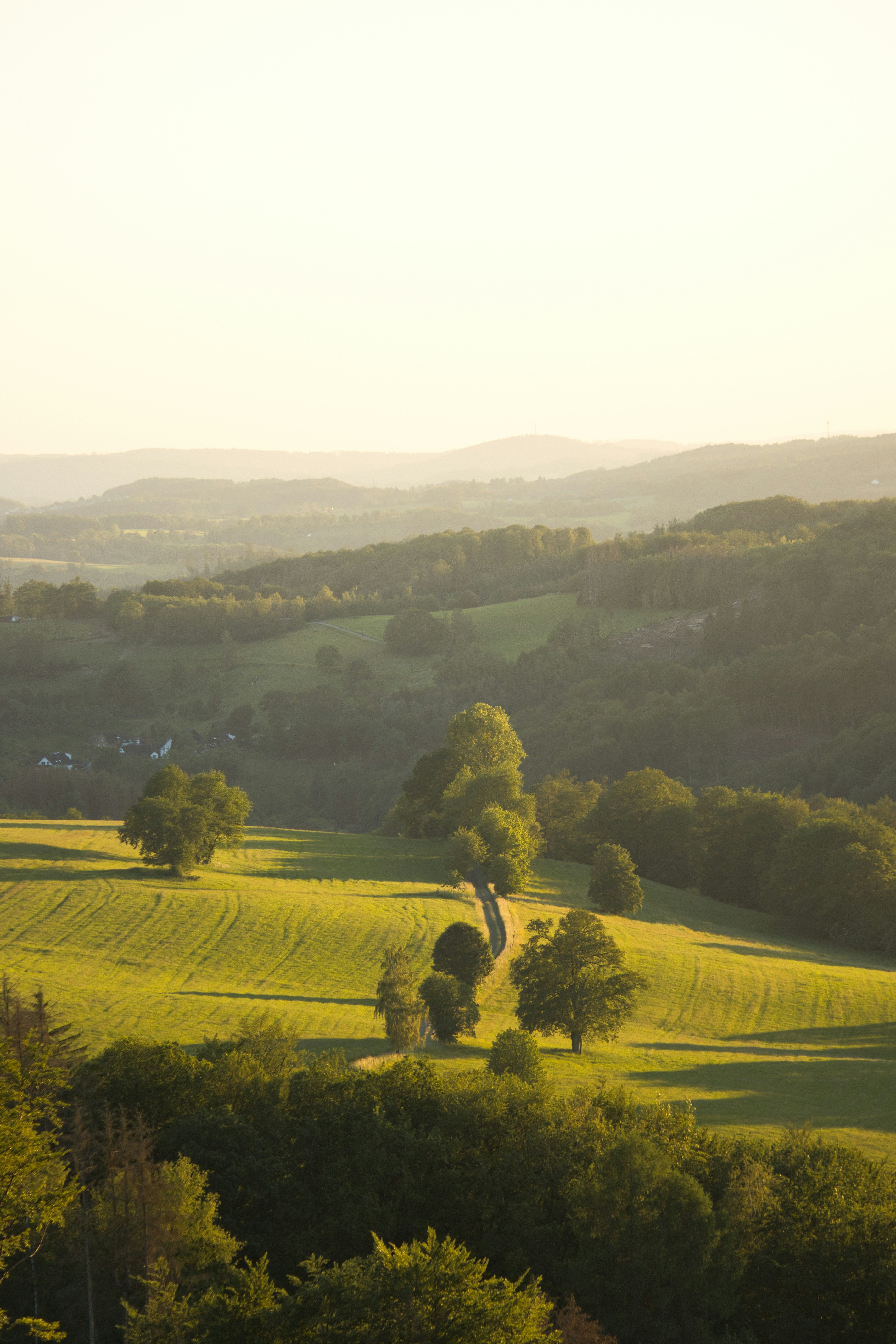 Photo by muenningmedia