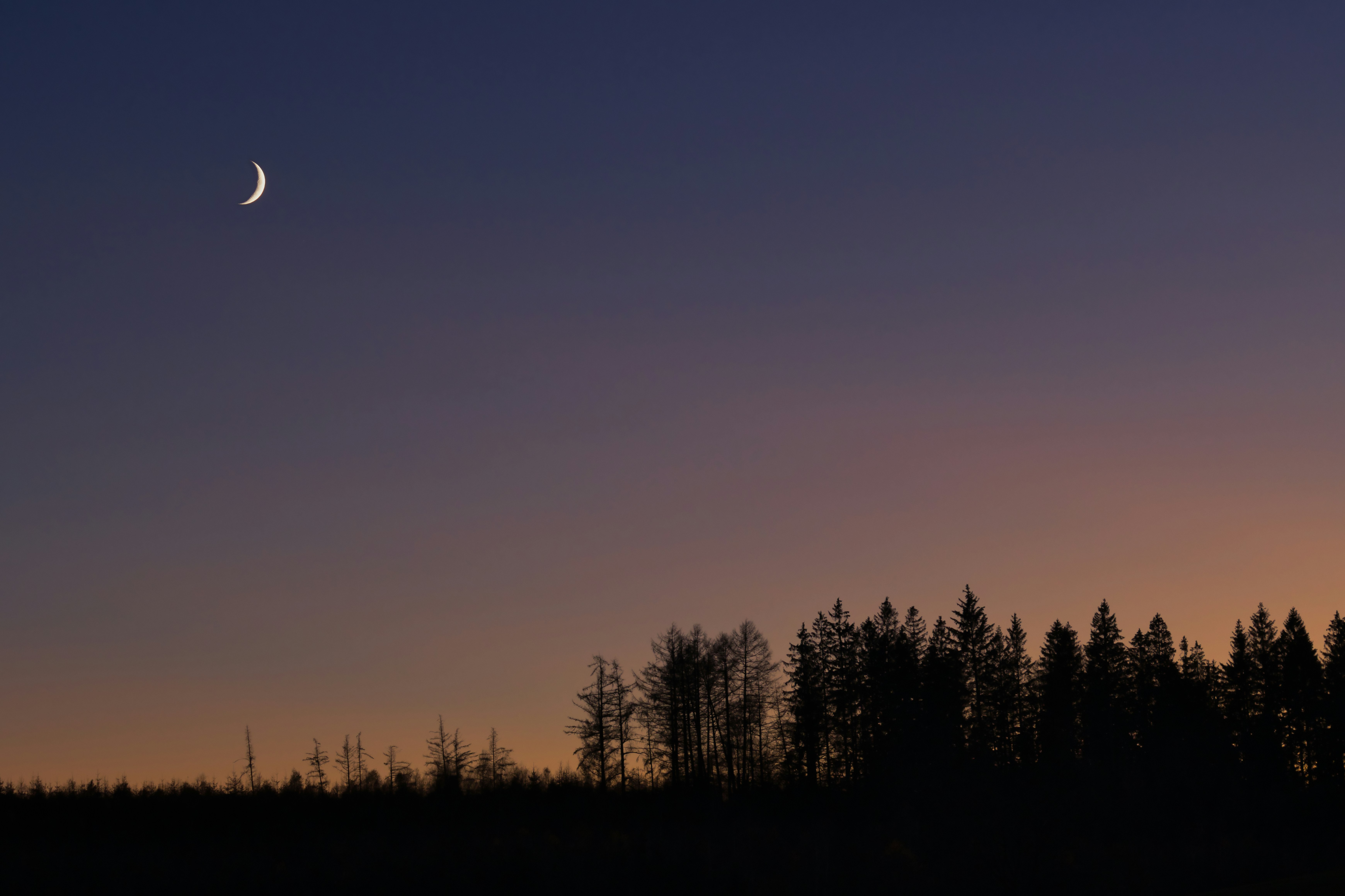 Photo by muenningmedia