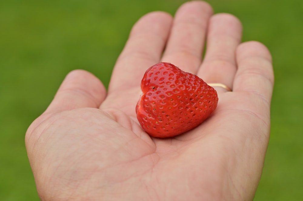 red strawberry on persons hand