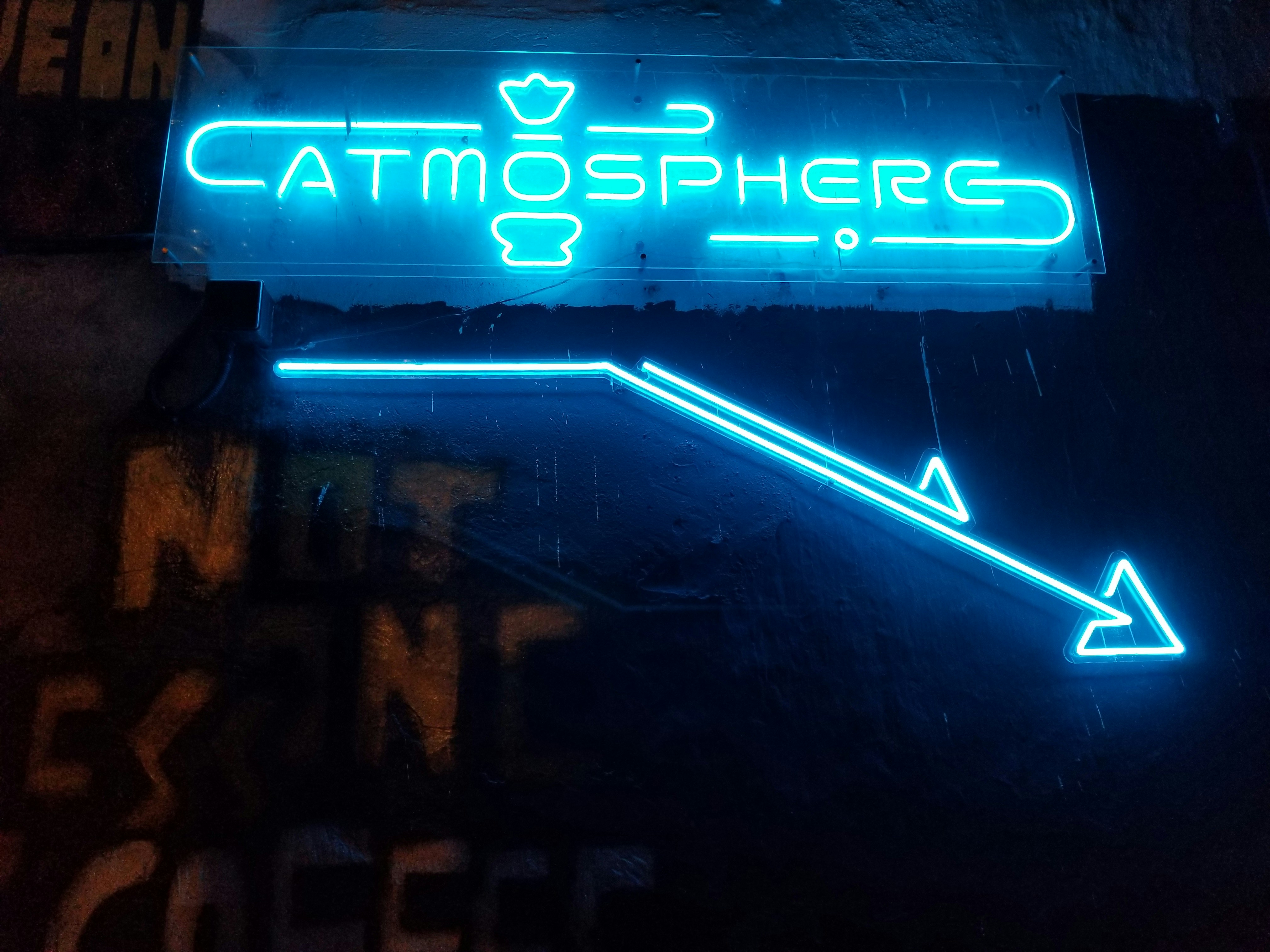 Blue and white neon signage