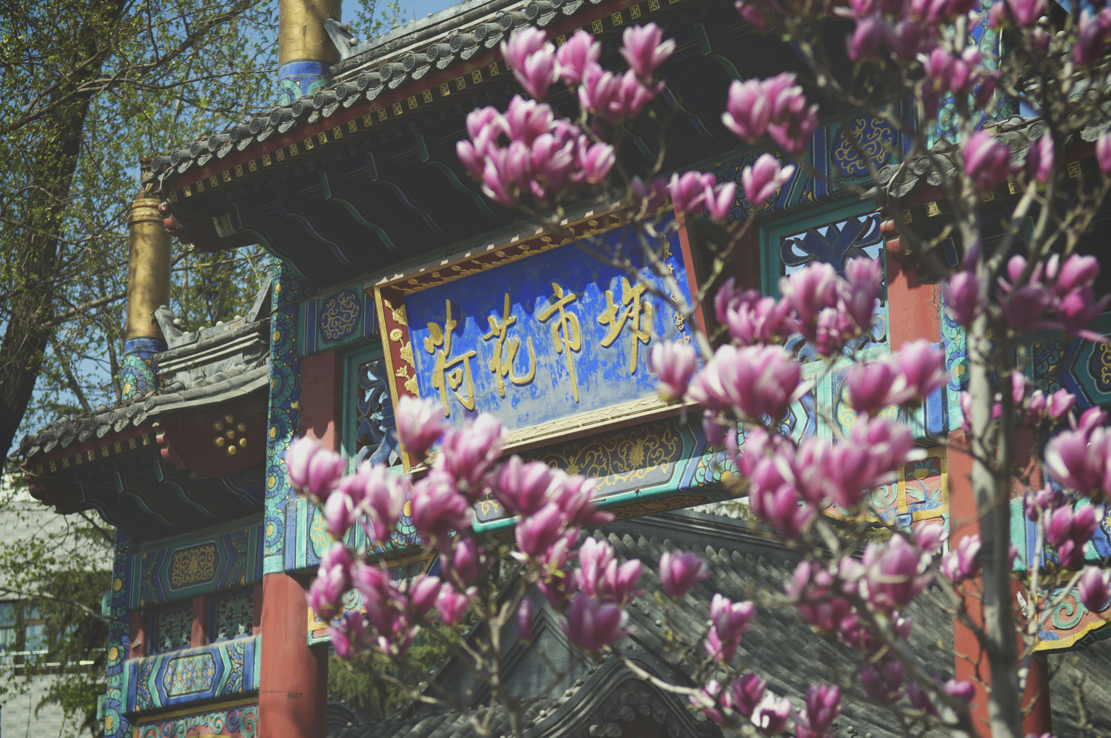 Photo by tommaomaoer