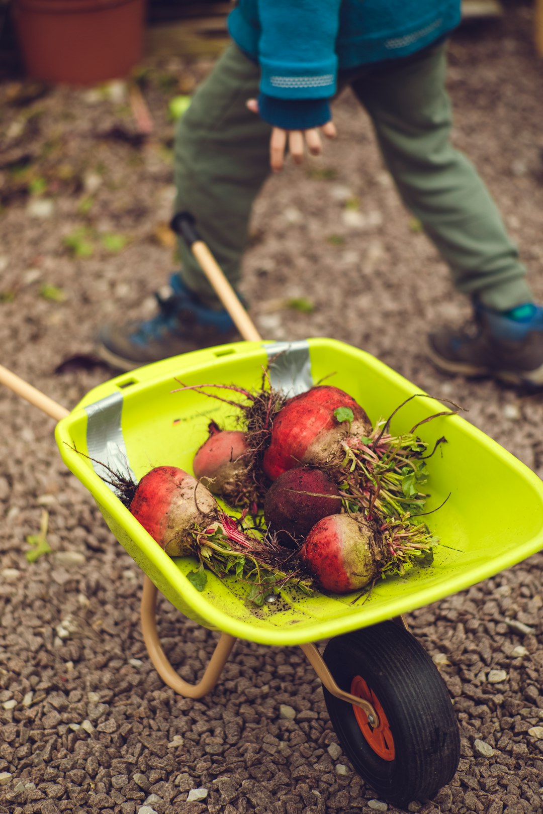 red round fruits on green plastic container