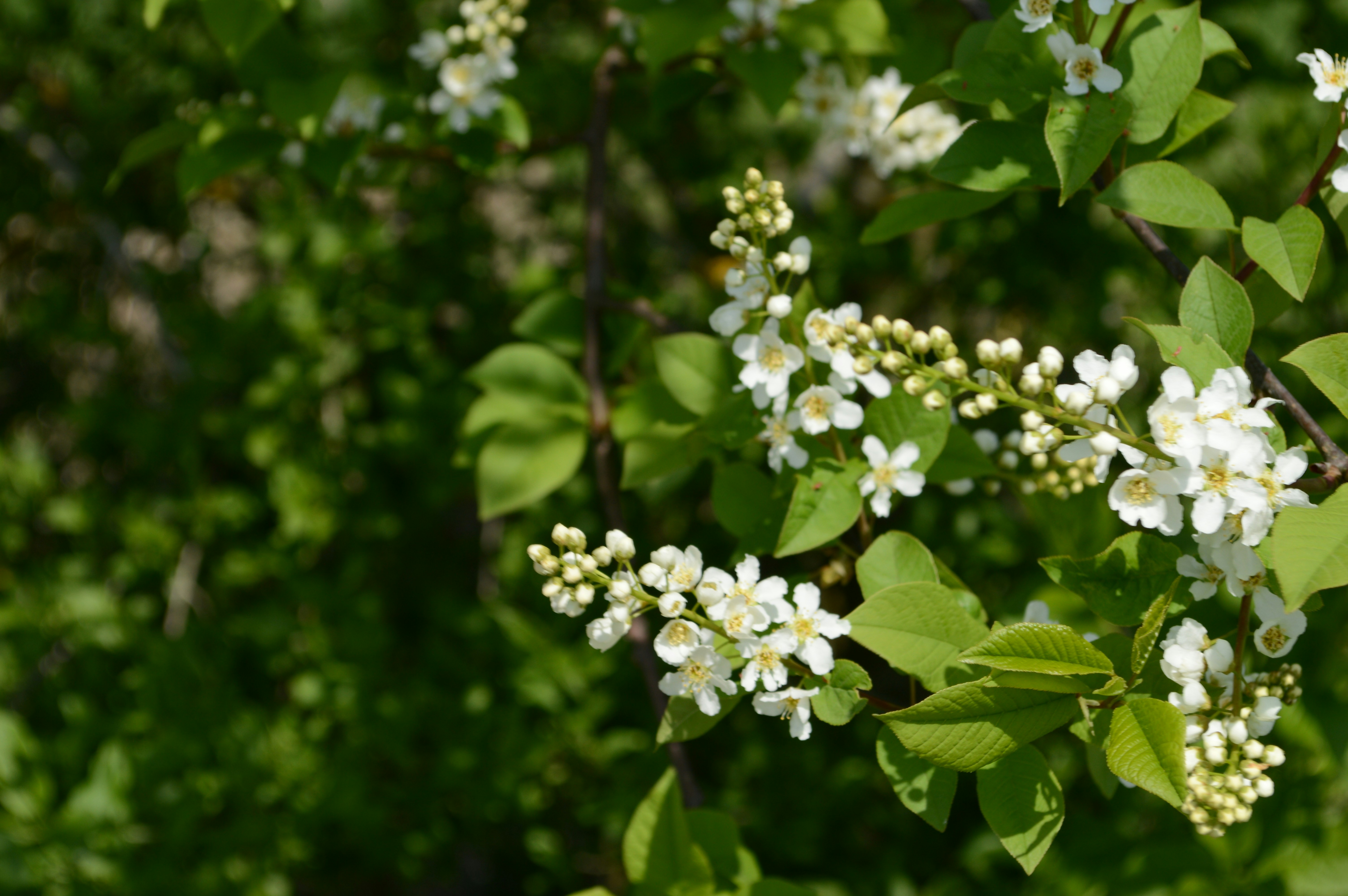 Photo by badpictures