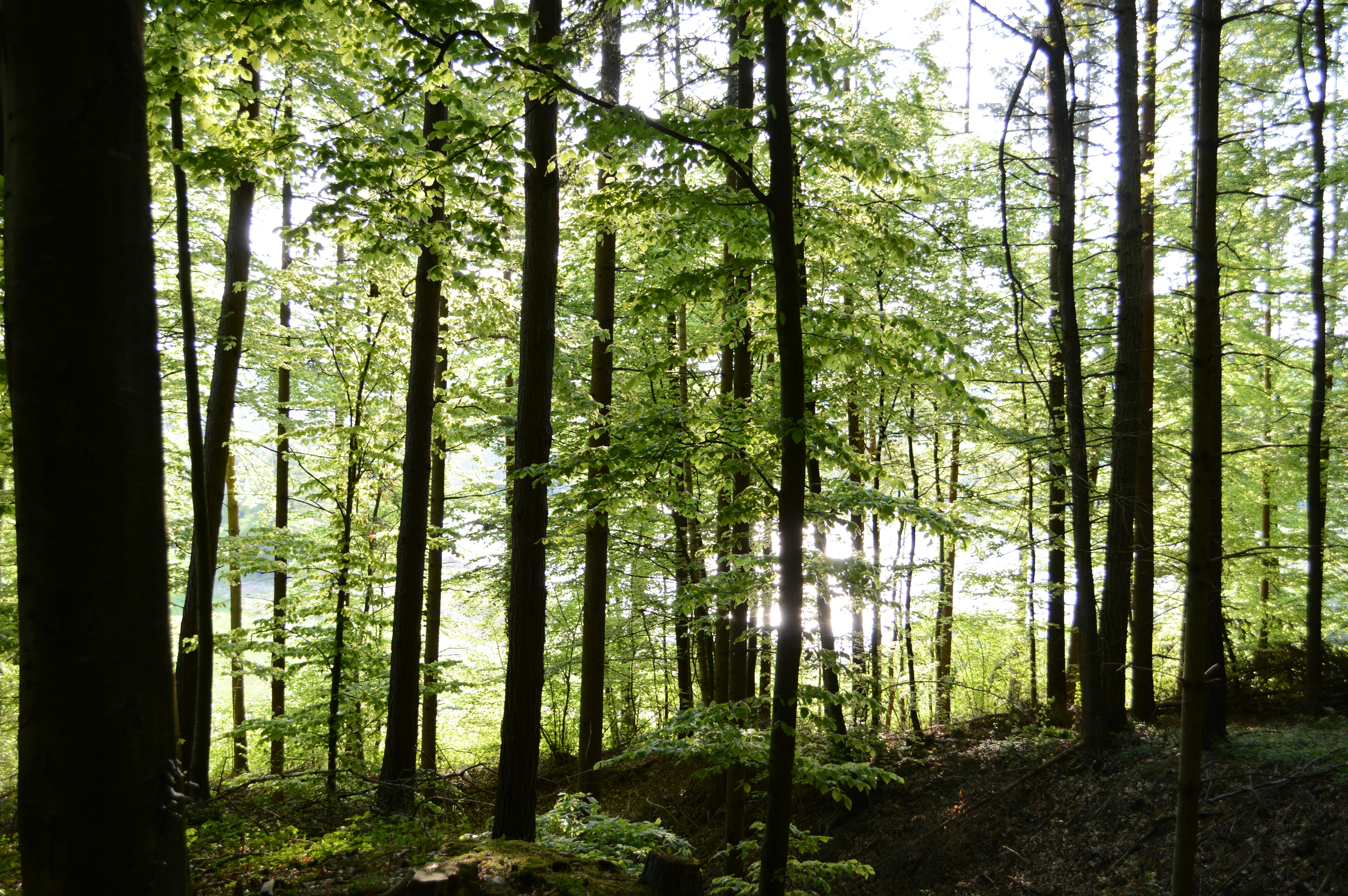 Photo by badpictures