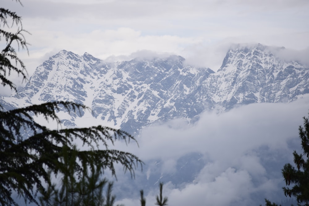 snow covered mountains during daytime