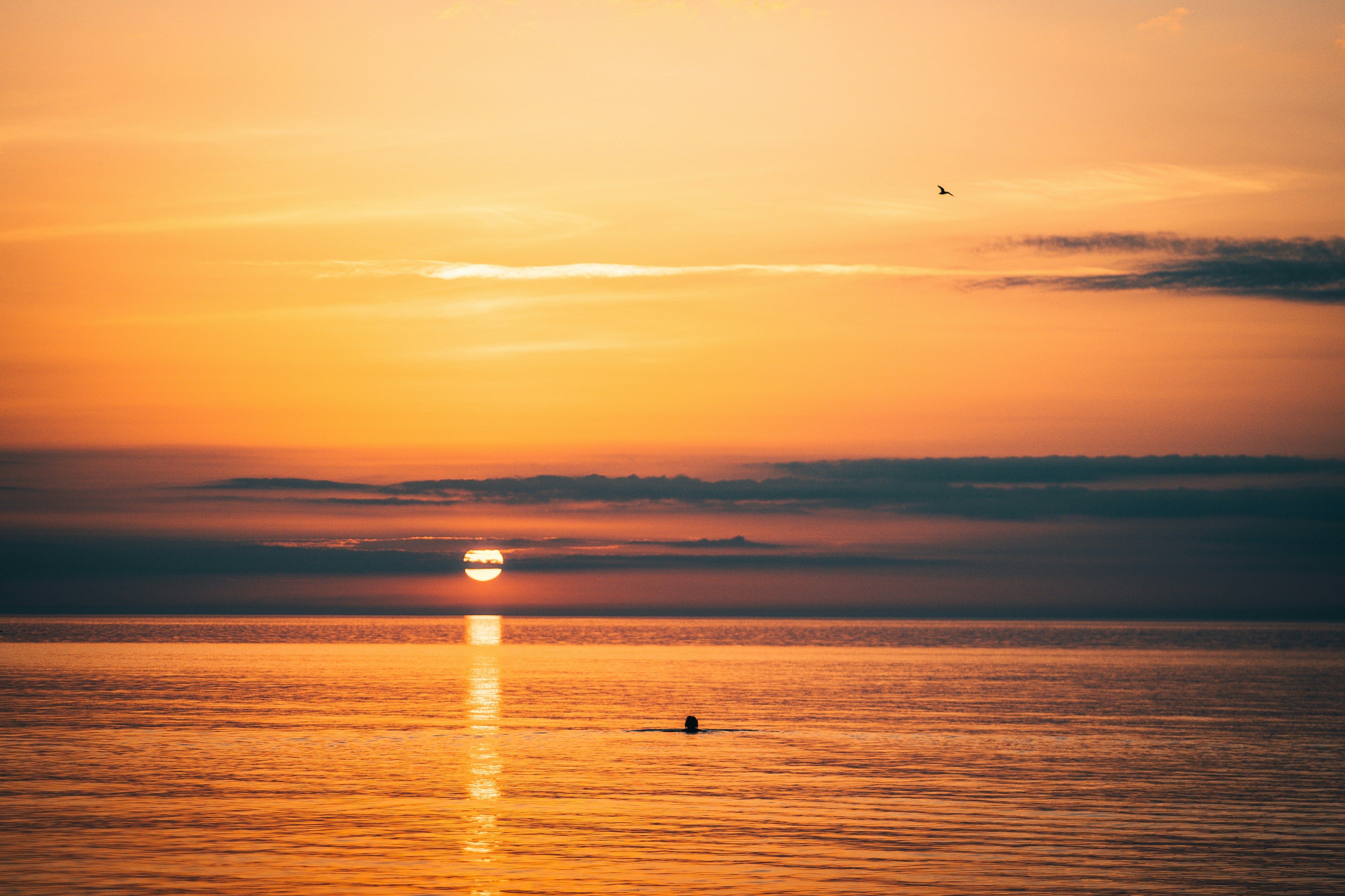 Photo by raimondklavins