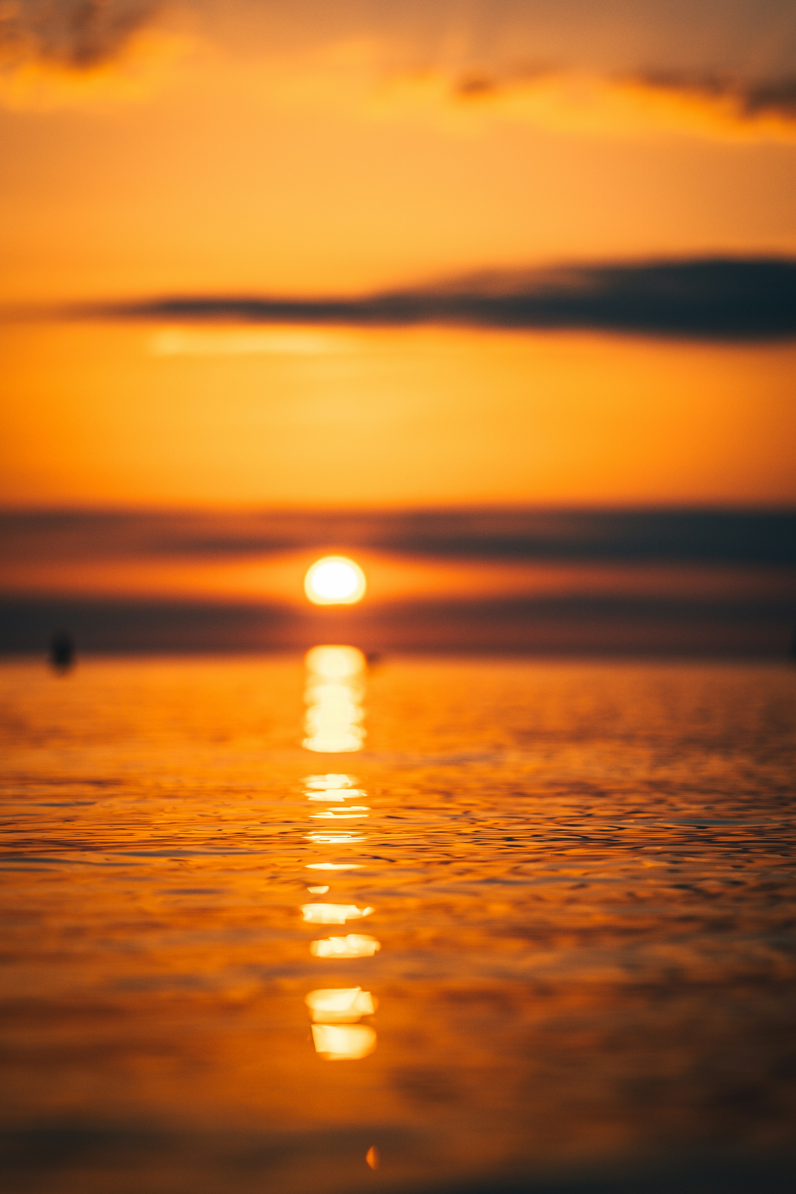 Photo by raimondklavins