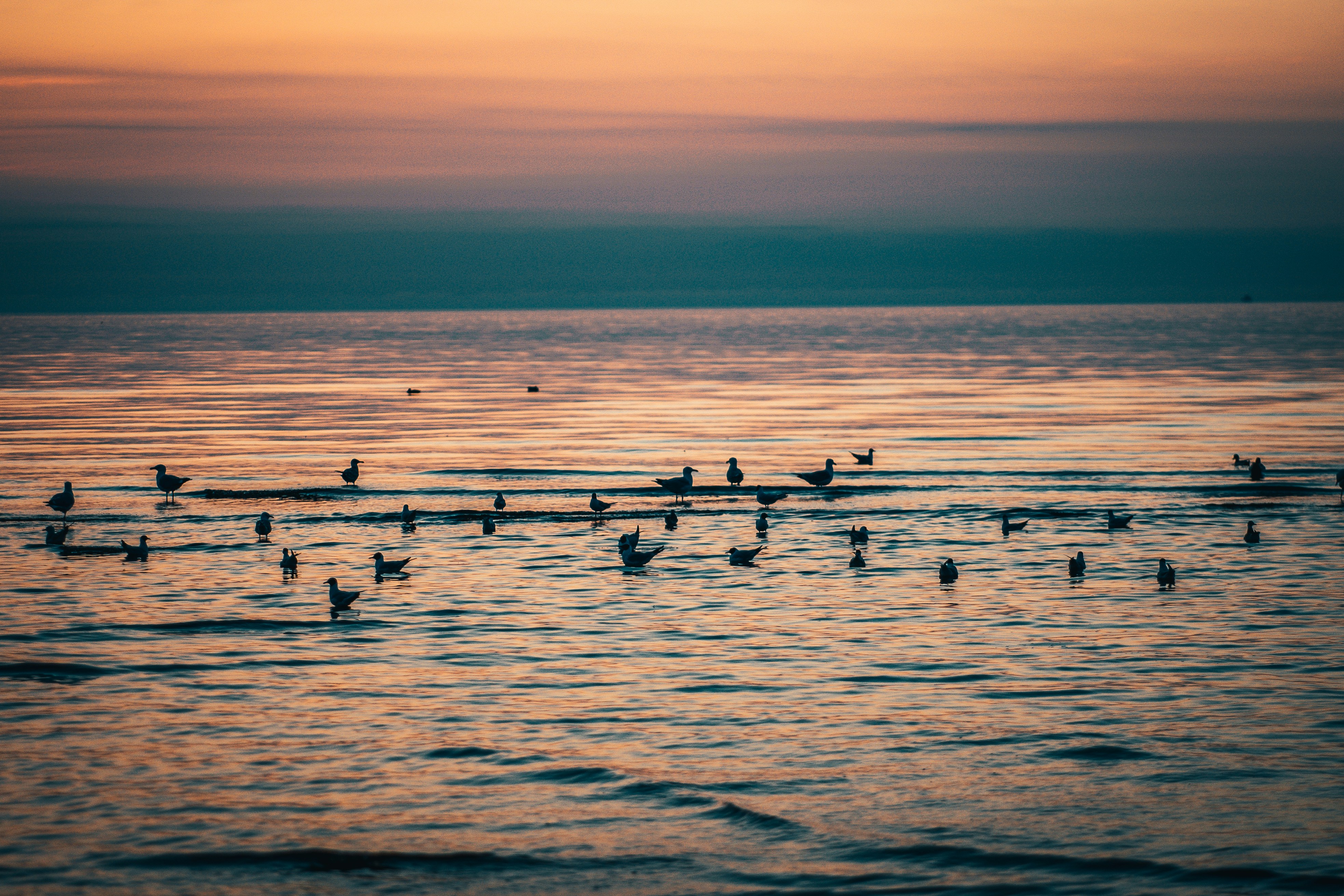 Photo by raimondklavins