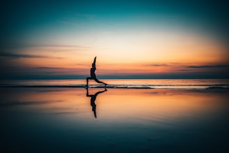 silhouette of person standing on seashore during sunset