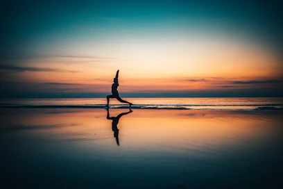 silhouette of person standing on seashore during sunset