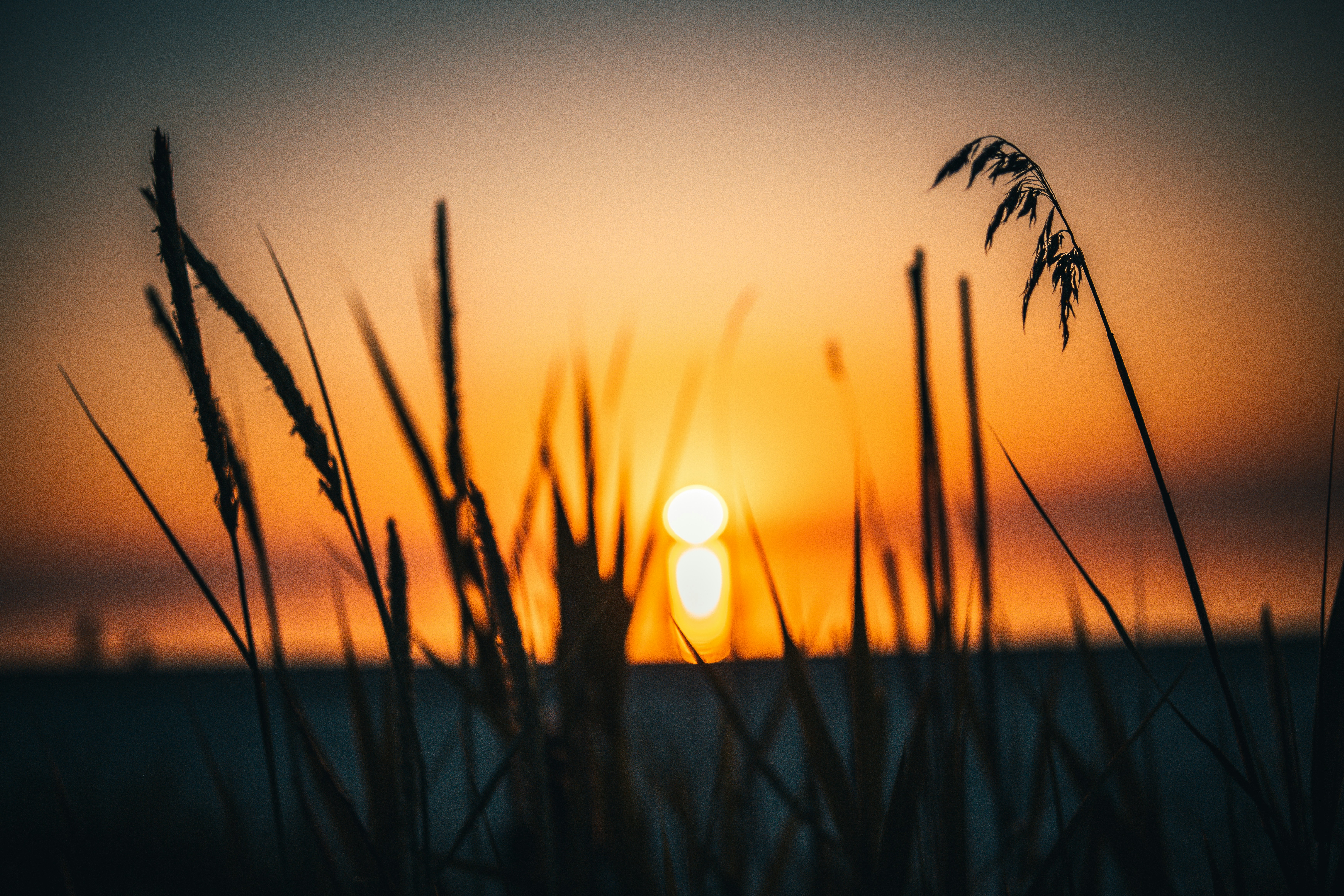 Photo by raimondklavins