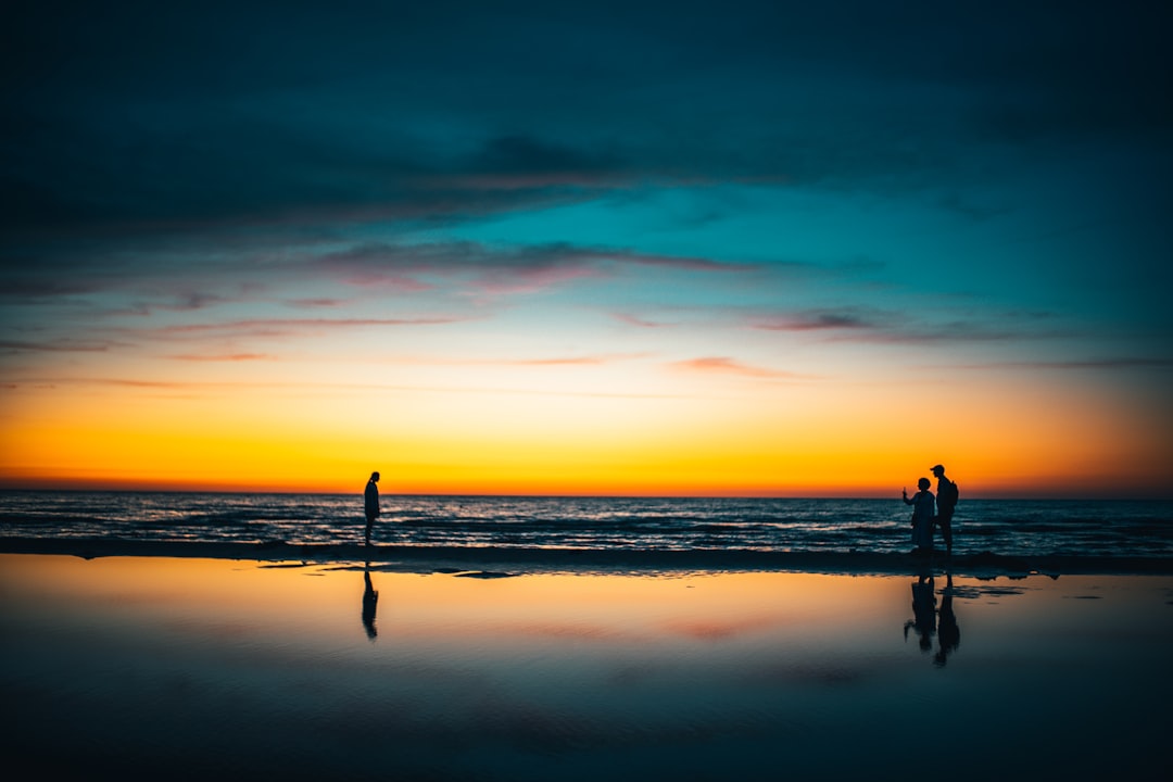 silhouette of people on beach during sunset