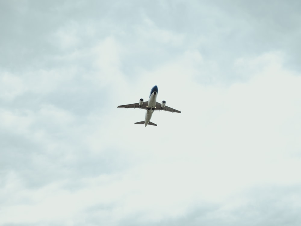 avion bleu volant dans le ciel pendant la journée