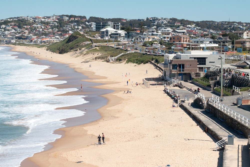 people on beach during daytime