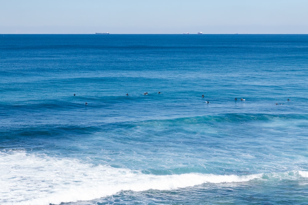 people surfing on sea waves during daytime