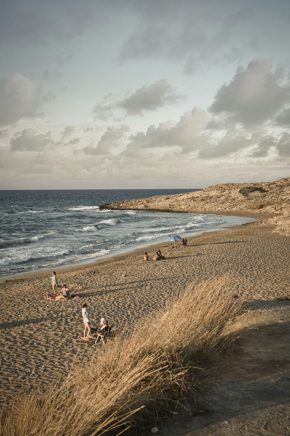 people on beach during daytime