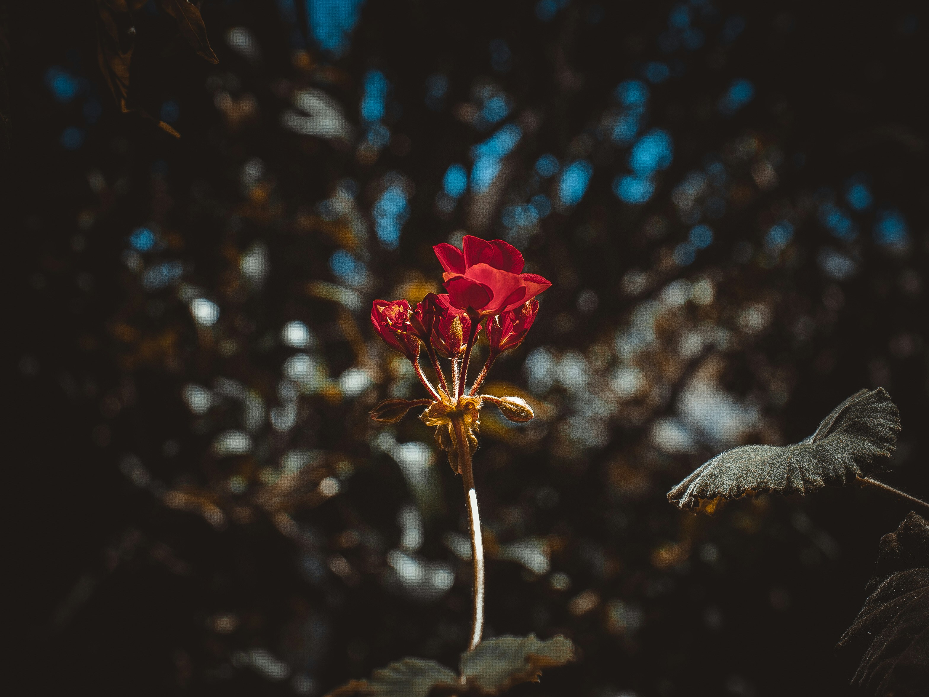 Photo by lefteris_theos