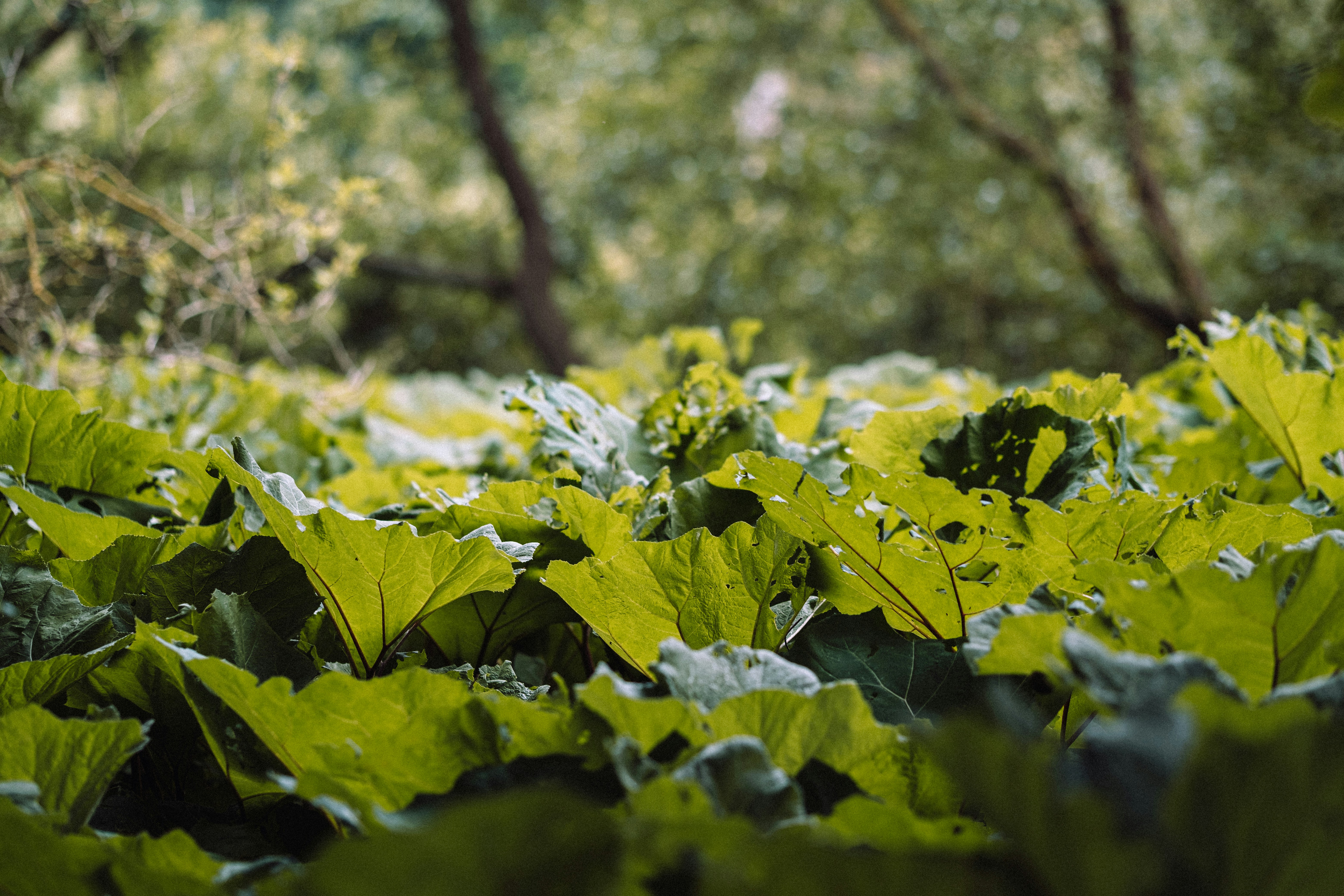 Photo by maybejensen