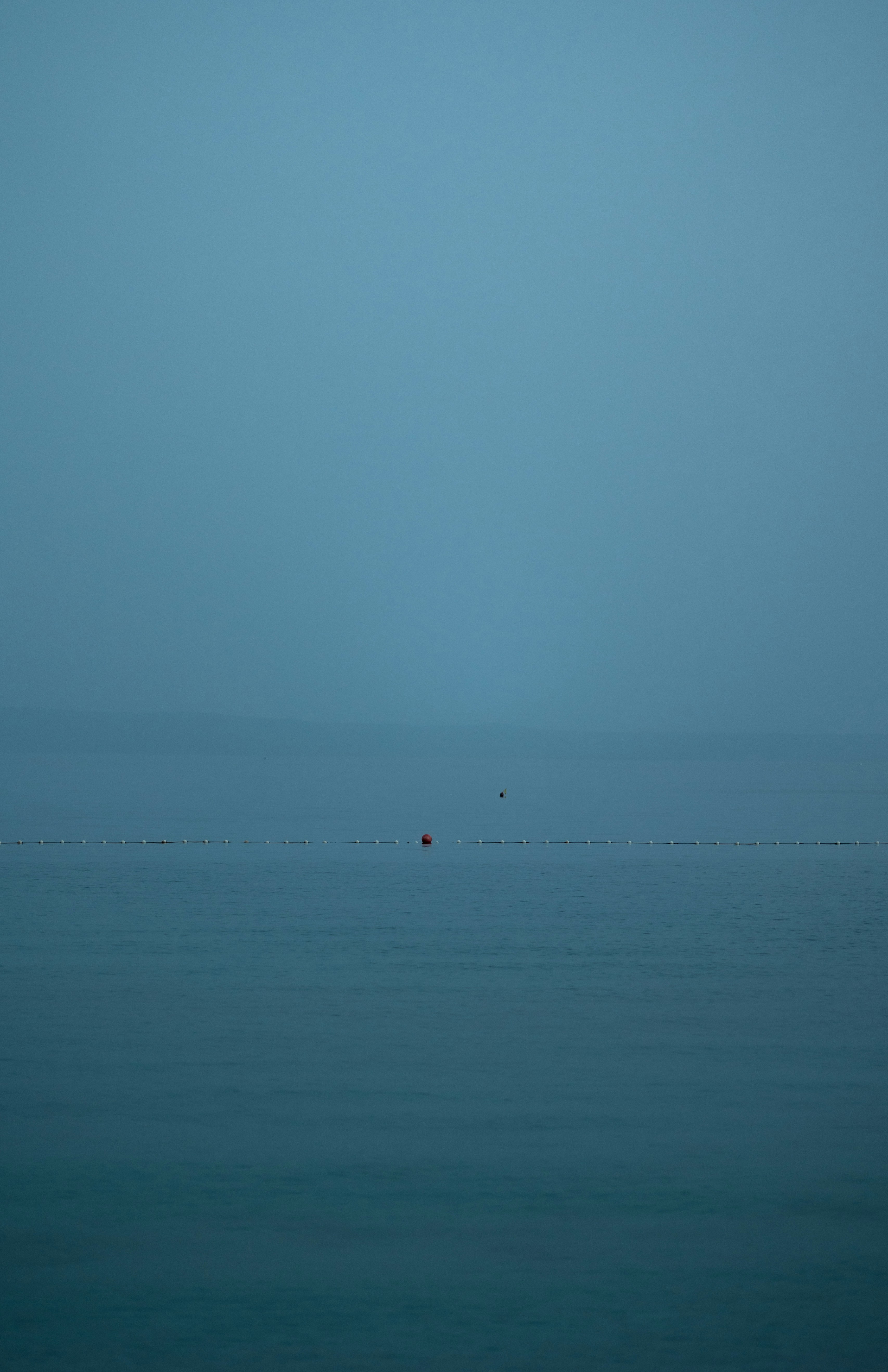 Photo by alex_gruber