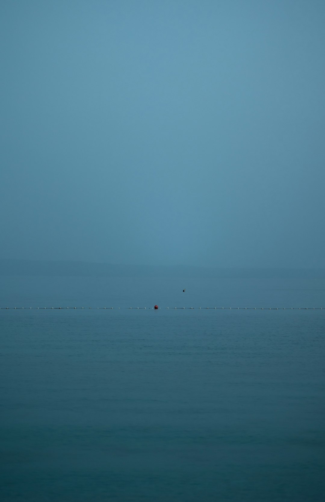 people on beach during daytime