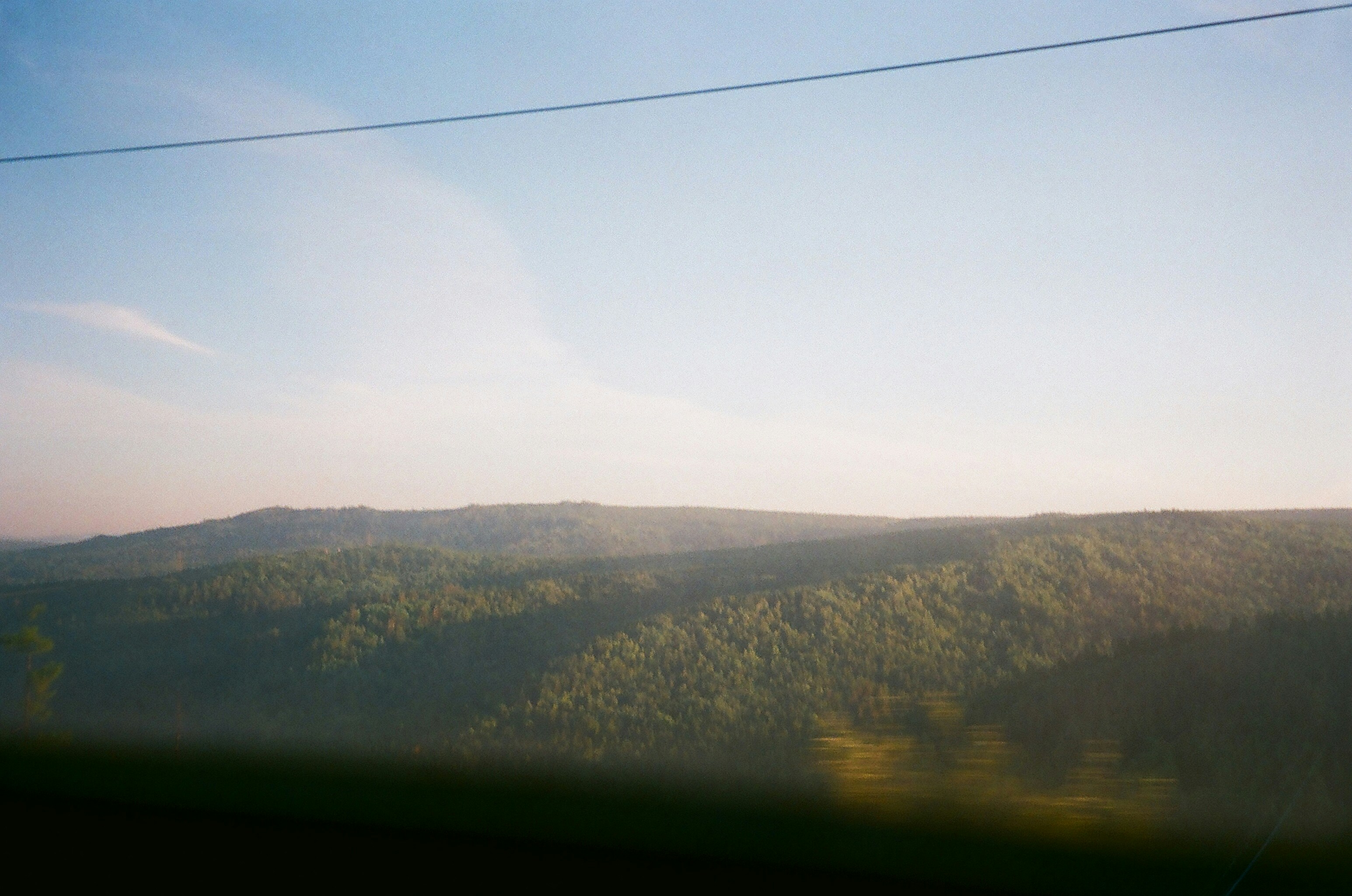 green trees on mountain under white sky during daytime