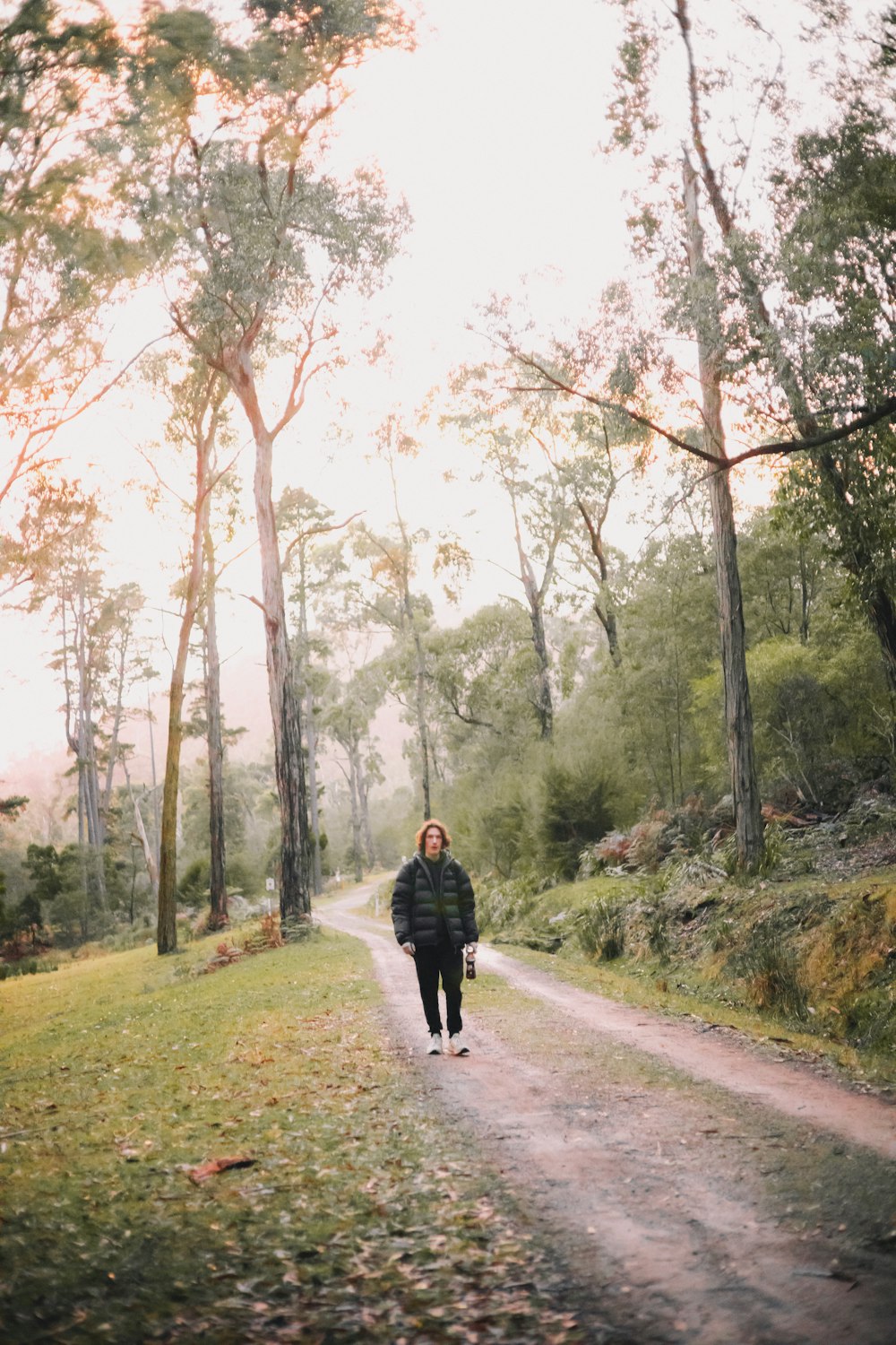 Donna in giacca nera che cammina sul sentiero tra gli alberi durante il giorno