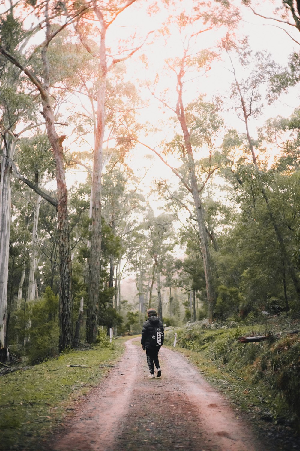 昼間の森を歩く黒いジャケットの男