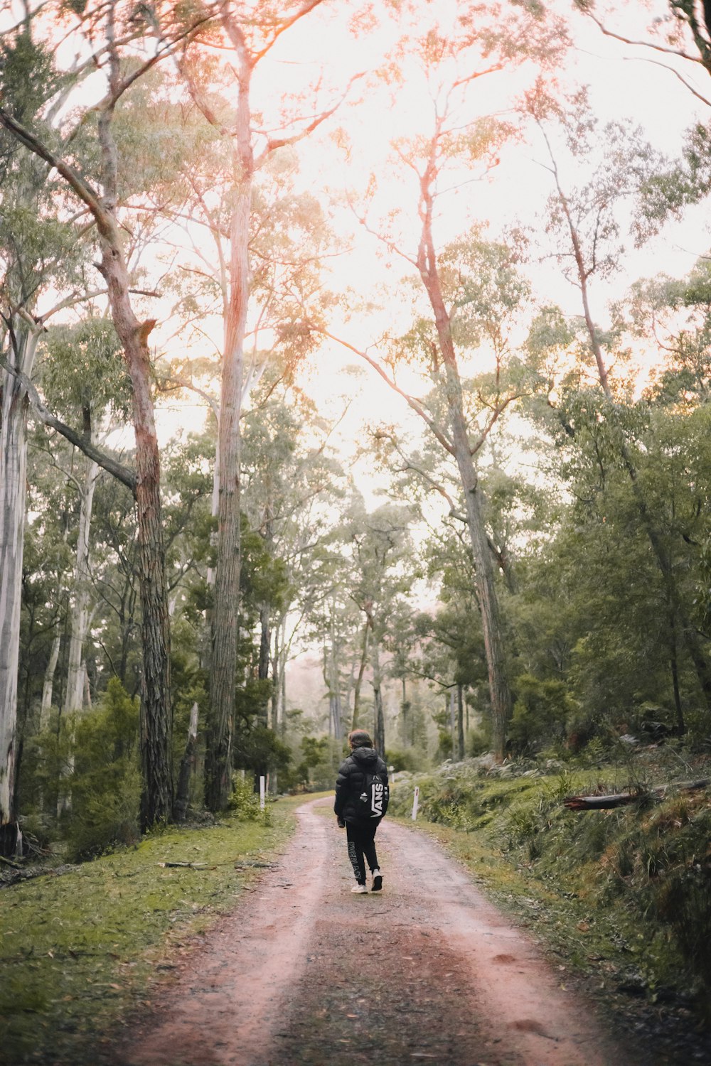 man in black jacket walking on forest during daytime