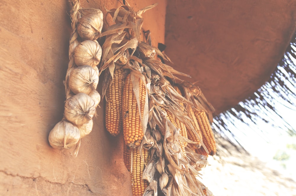 brown corn on brown wooden table