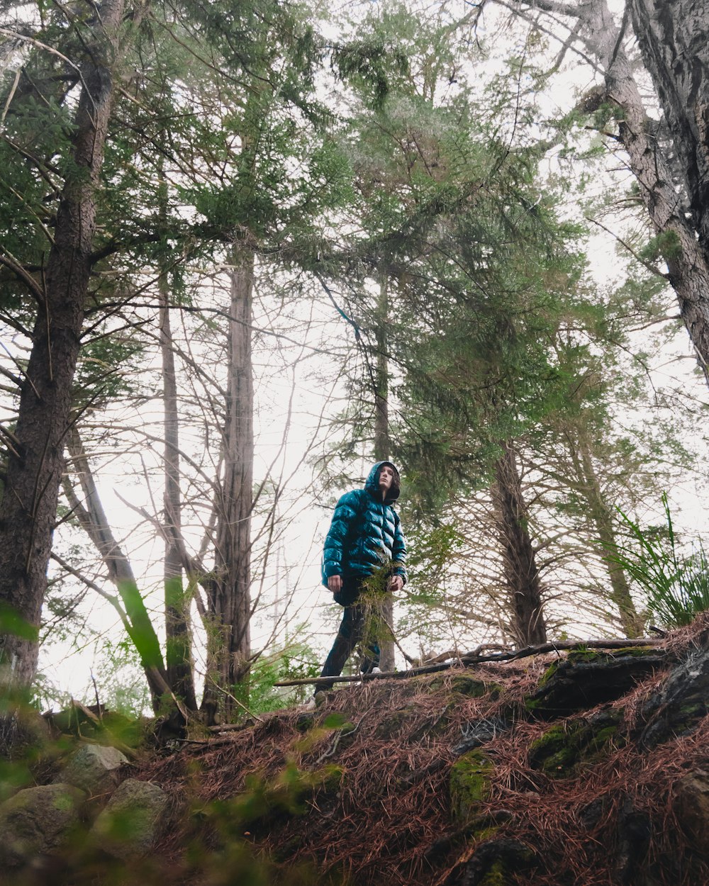 man in blue jacket and black pants standing on brown tree trunk during daytime