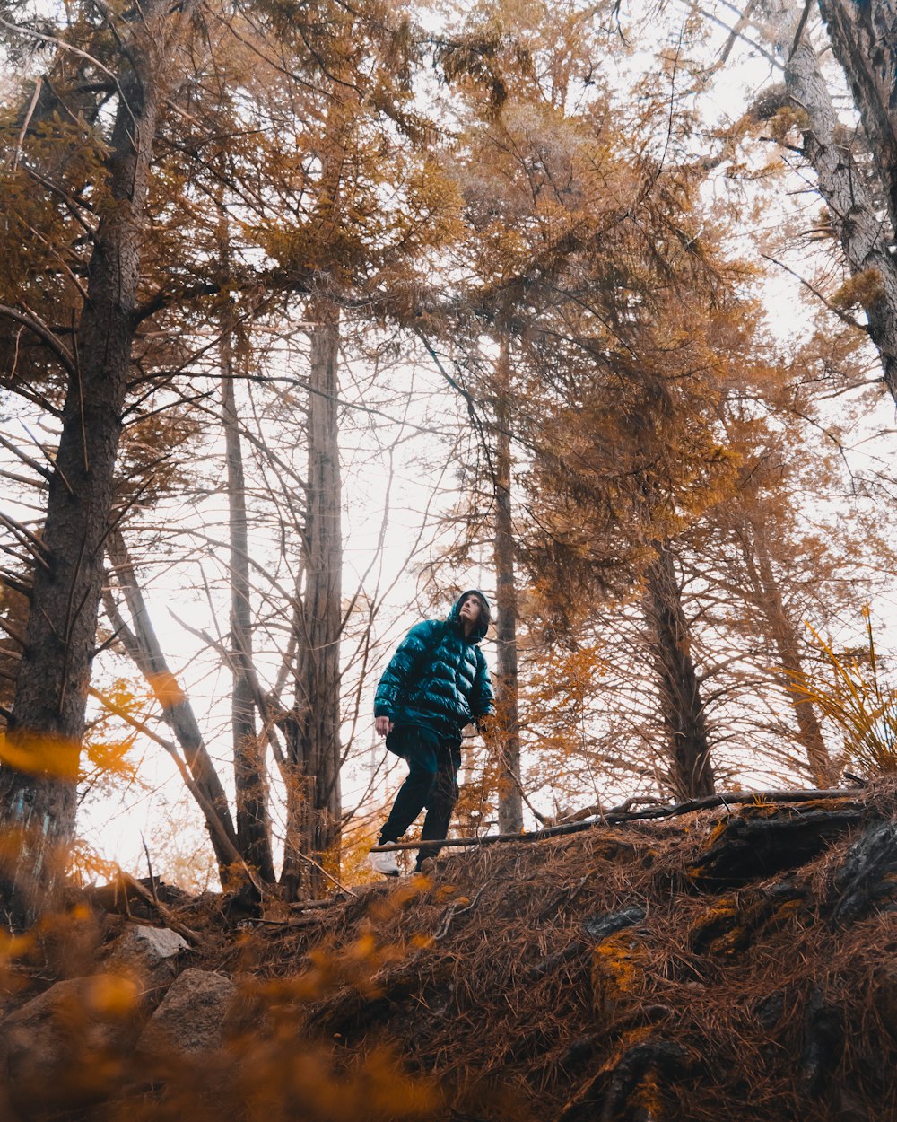 man in blue jacket standing on brown tree log during daytime