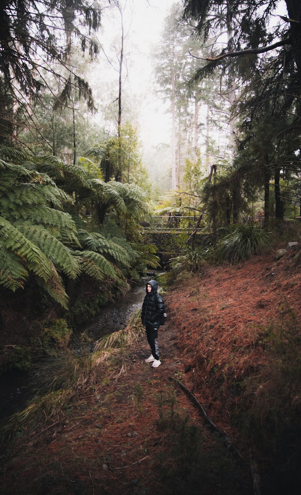 person in black jacket walking on dirt road between green trees during daytime