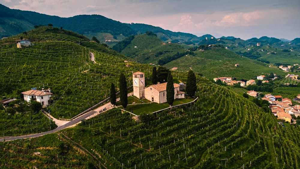 Veduta aerea del campo di erba verde e degli alberi durante il giorno